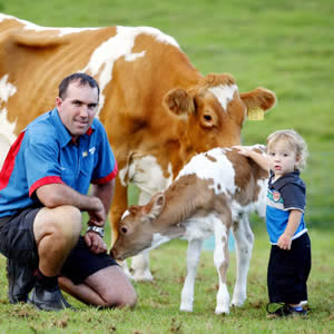 roseville-house-maleny-dairies